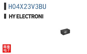 H04X23V3BU ͼƬ